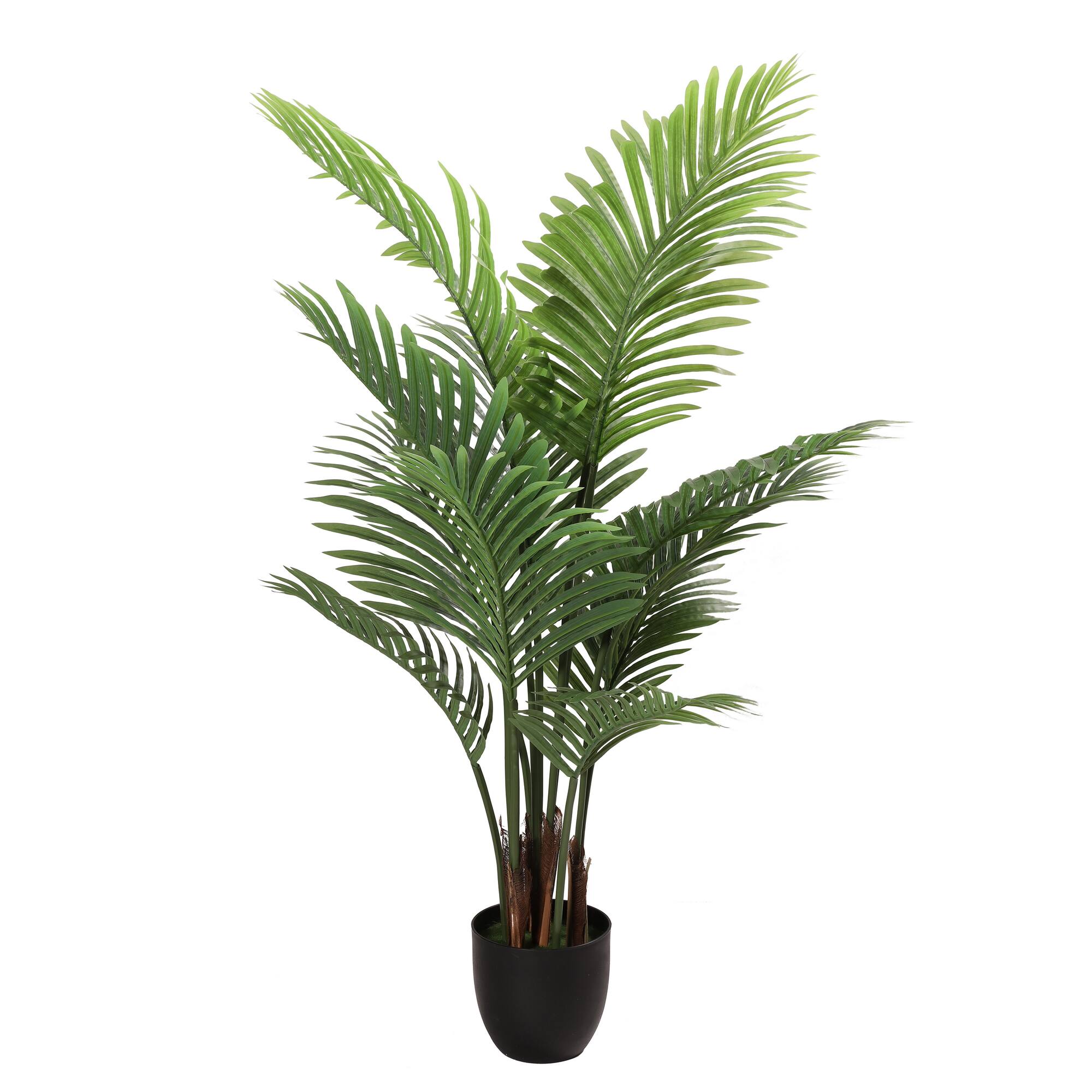 6 Pack: 4ft. Areca Palm in Black Planter